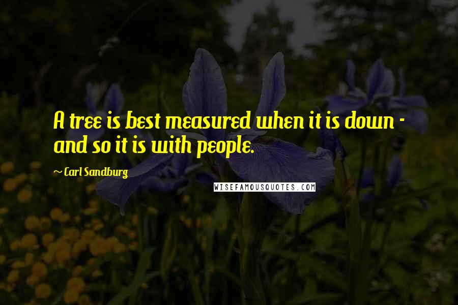 Carl Sandburg Quotes: A tree is best measured when it is down - and so it is with people.