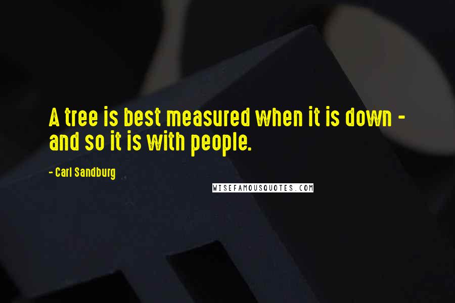 Carl Sandburg Quotes: A tree is best measured when it is down - and so it is with people.
