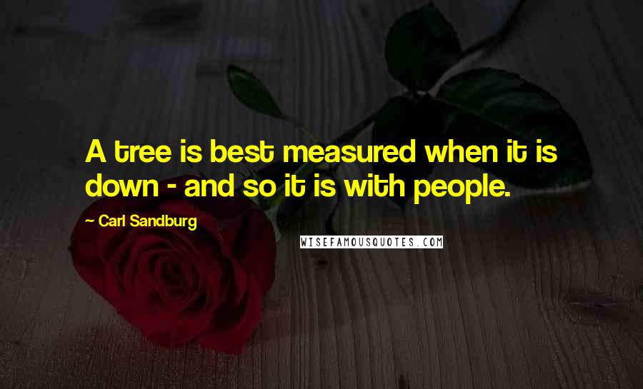 Carl Sandburg Quotes: A tree is best measured when it is down - and so it is with people.