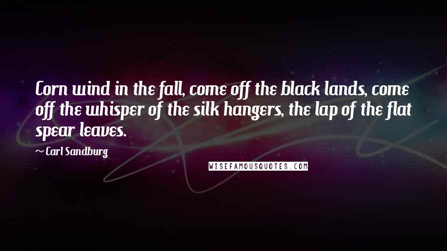 Carl Sandburg Quotes: Corn wind in the fall, come off the black lands, come off the whisper of the silk hangers, the lap of the flat spear leaves.