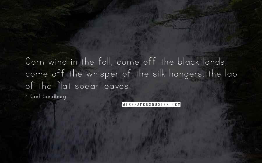 Carl Sandburg Quotes: Corn wind in the fall, come off the black lands, come off the whisper of the silk hangers, the lap of the flat spear leaves.