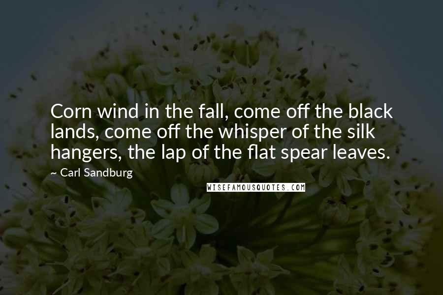 Carl Sandburg Quotes: Corn wind in the fall, come off the black lands, come off the whisper of the silk hangers, the lap of the flat spear leaves.