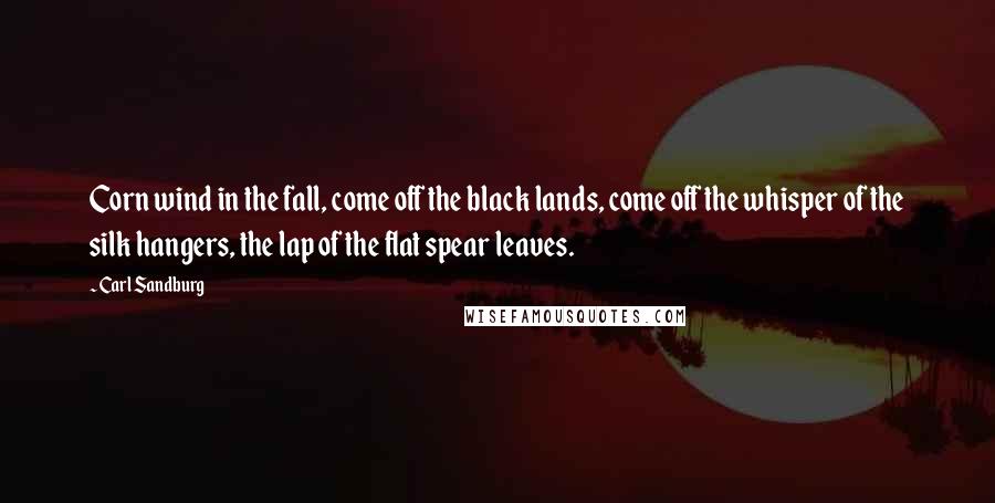 Carl Sandburg Quotes: Corn wind in the fall, come off the black lands, come off the whisper of the silk hangers, the lap of the flat spear leaves.