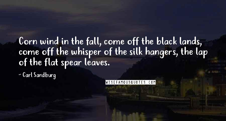 Carl Sandburg Quotes: Corn wind in the fall, come off the black lands, come off the whisper of the silk hangers, the lap of the flat spear leaves.