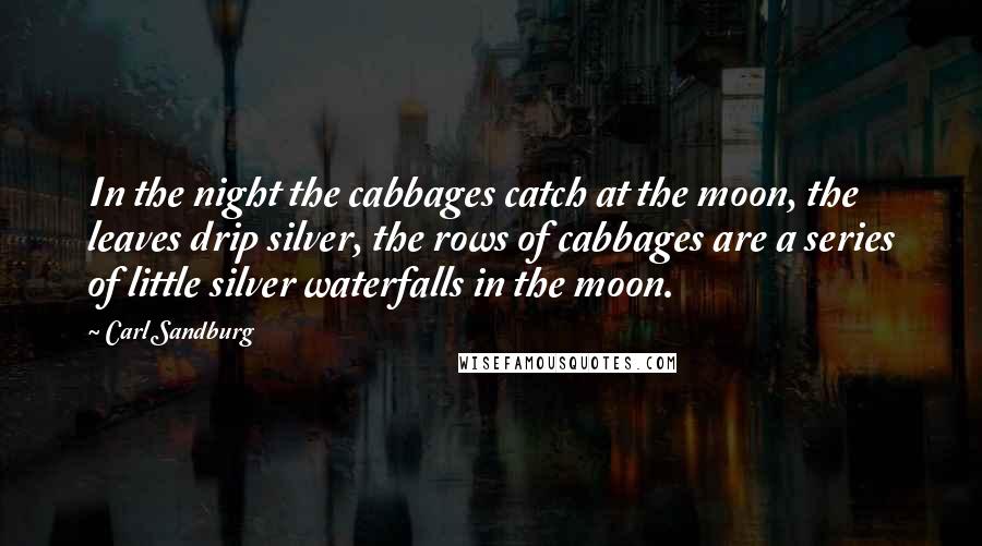 Carl Sandburg Quotes: In the night the cabbages catch at the moon, the leaves drip silver, the rows of cabbages are a series of little silver waterfalls in the moon.