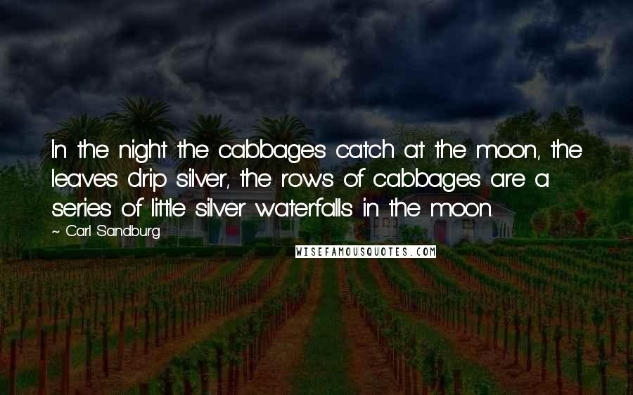 Carl Sandburg Quotes: In the night the cabbages catch at the moon, the leaves drip silver, the rows of cabbages are a series of little silver waterfalls in the moon.