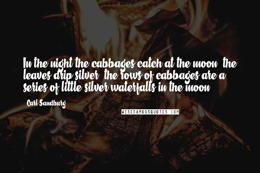 Carl Sandburg Quotes: In the night the cabbages catch at the moon, the leaves drip silver, the rows of cabbages are a series of little silver waterfalls in the moon.