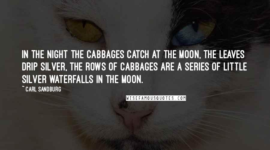 Carl Sandburg Quotes: In the night the cabbages catch at the moon, the leaves drip silver, the rows of cabbages are a series of little silver waterfalls in the moon.