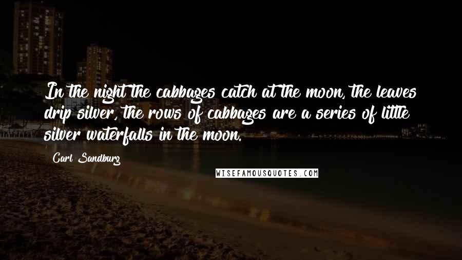 Carl Sandburg Quotes: In the night the cabbages catch at the moon, the leaves drip silver, the rows of cabbages are a series of little silver waterfalls in the moon.