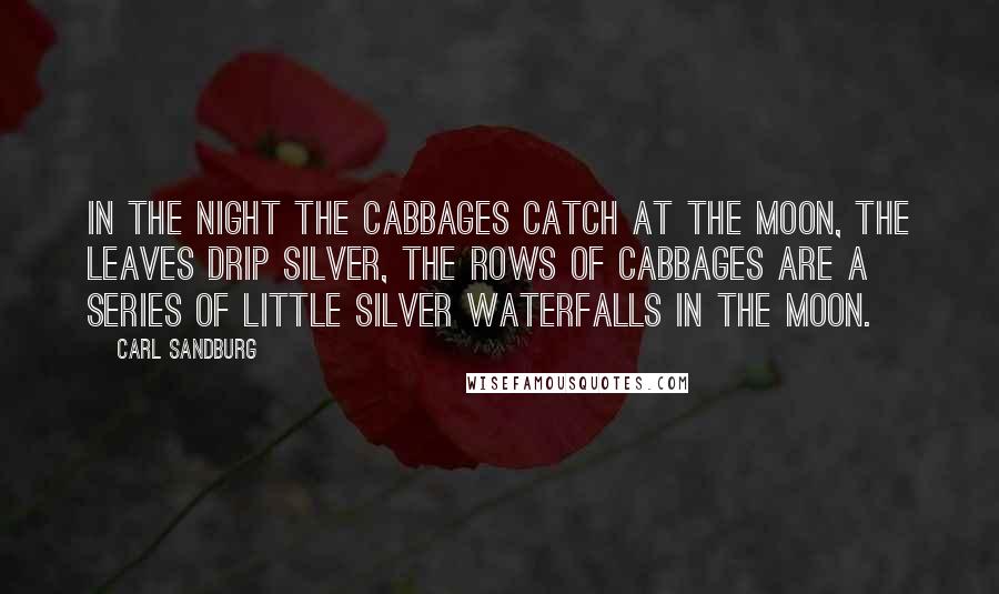 Carl Sandburg Quotes: In the night the cabbages catch at the moon, the leaves drip silver, the rows of cabbages are a series of little silver waterfalls in the moon.