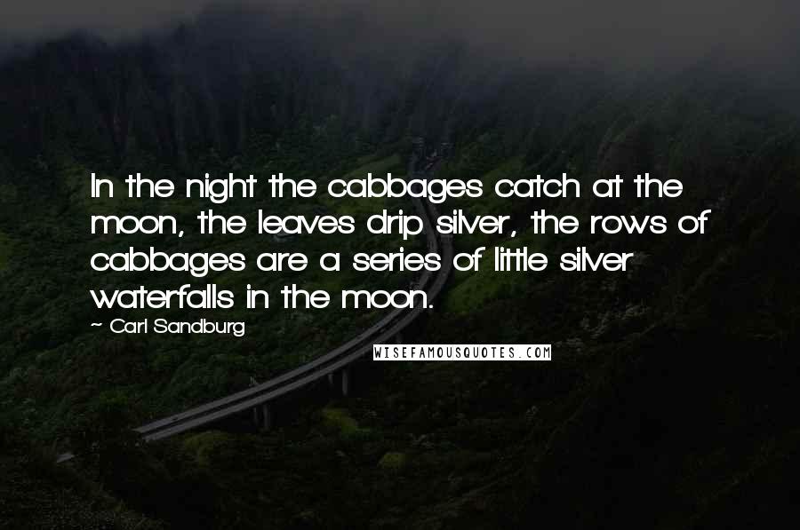 Carl Sandburg Quotes: In the night the cabbages catch at the moon, the leaves drip silver, the rows of cabbages are a series of little silver waterfalls in the moon.