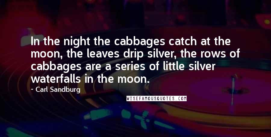 Carl Sandburg Quotes: In the night the cabbages catch at the moon, the leaves drip silver, the rows of cabbages are a series of little silver waterfalls in the moon.