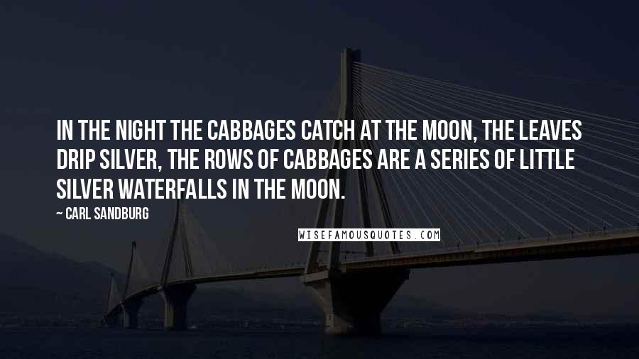 Carl Sandburg Quotes: In the night the cabbages catch at the moon, the leaves drip silver, the rows of cabbages are a series of little silver waterfalls in the moon.