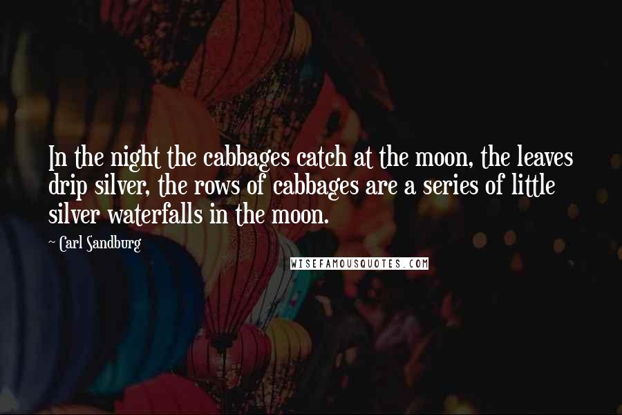 Carl Sandburg Quotes: In the night the cabbages catch at the moon, the leaves drip silver, the rows of cabbages are a series of little silver waterfalls in the moon.