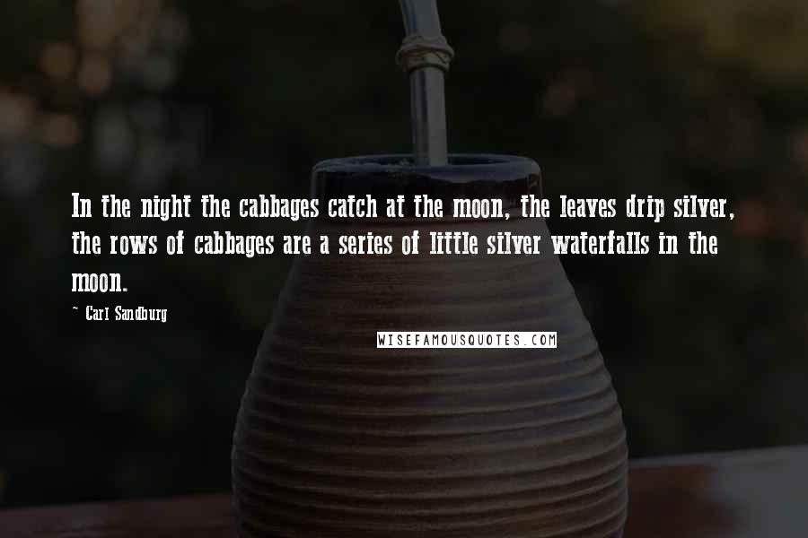 Carl Sandburg Quotes: In the night the cabbages catch at the moon, the leaves drip silver, the rows of cabbages are a series of little silver waterfalls in the moon.