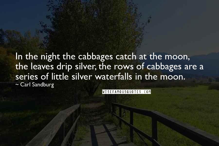 Carl Sandburg Quotes: In the night the cabbages catch at the moon, the leaves drip silver, the rows of cabbages are a series of little silver waterfalls in the moon.