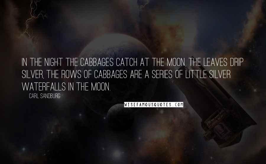 Carl Sandburg Quotes: In the night the cabbages catch at the moon, the leaves drip silver, the rows of cabbages are a series of little silver waterfalls in the moon.