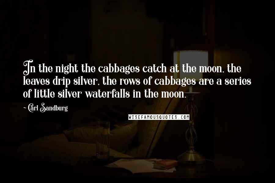 Carl Sandburg Quotes: In the night the cabbages catch at the moon, the leaves drip silver, the rows of cabbages are a series of little silver waterfalls in the moon.