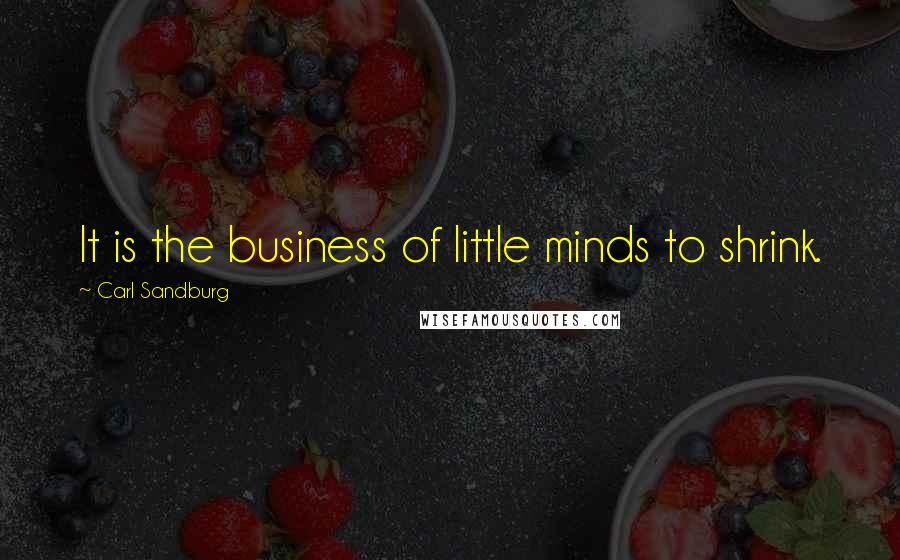 Carl Sandburg Quotes: It is the business of little minds to shrink.