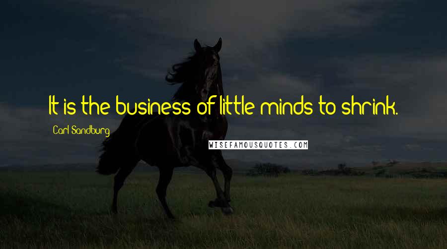 Carl Sandburg Quotes: It is the business of little minds to shrink.