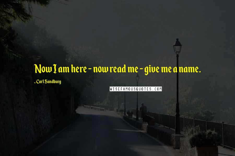 Carl Sandburg Quotes: Now I am here - now read me - give me a name.