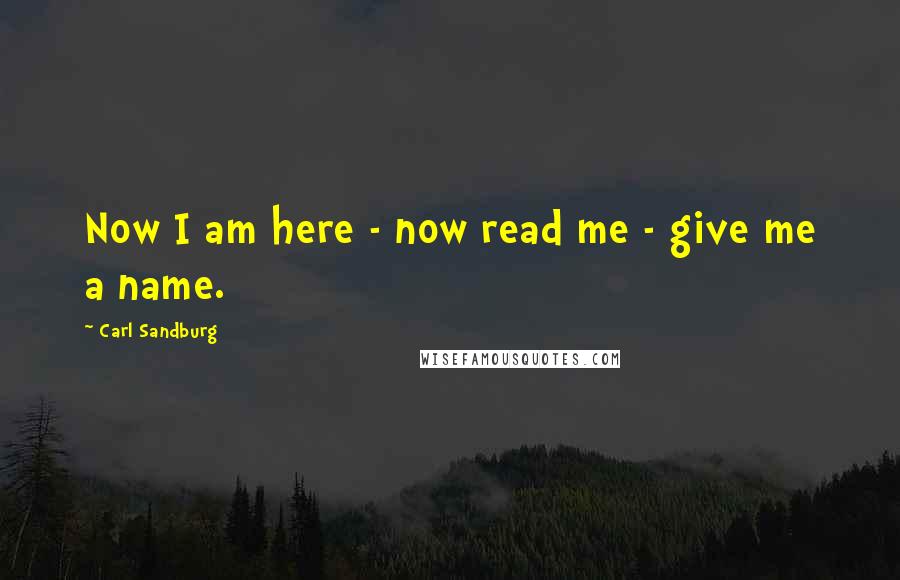 Carl Sandburg Quotes: Now I am here - now read me - give me a name.