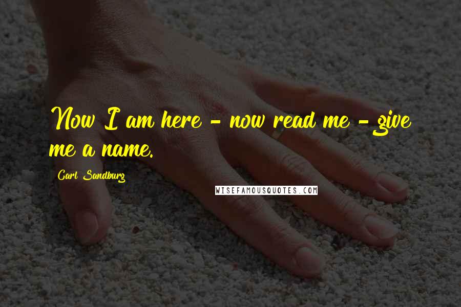 Carl Sandburg Quotes: Now I am here - now read me - give me a name.