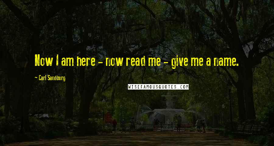 Carl Sandburg Quotes: Now I am here - now read me - give me a name.