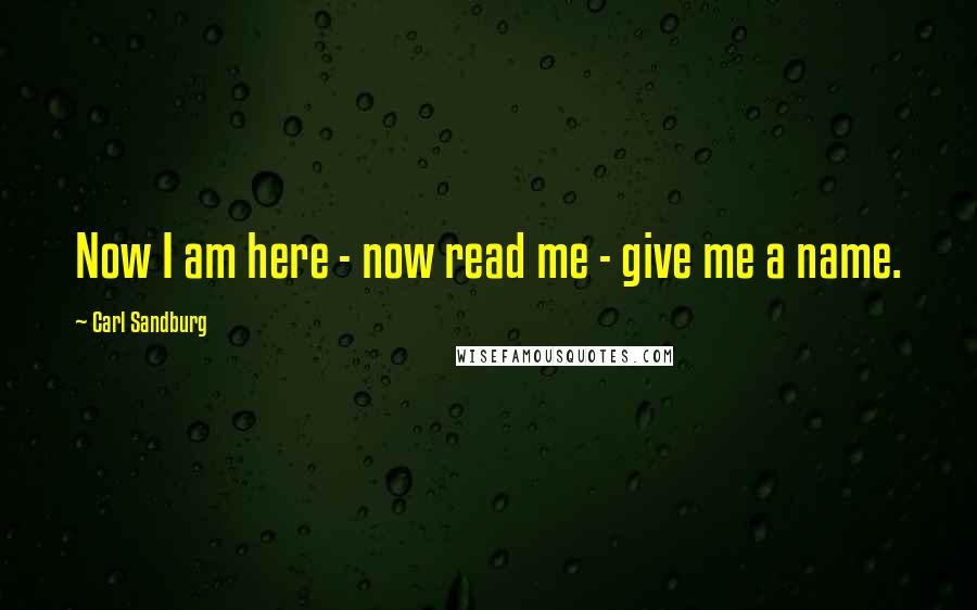 Carl Sandburg Quotes: Now I am here - now read me - give me a name.