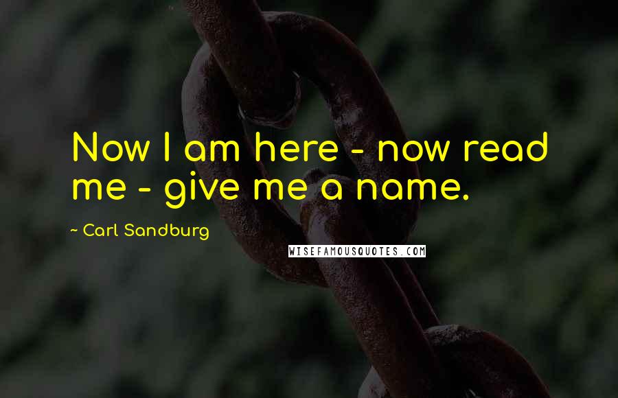 Carl Sandburg Quotes: Now I am here - now read me - give me a name.