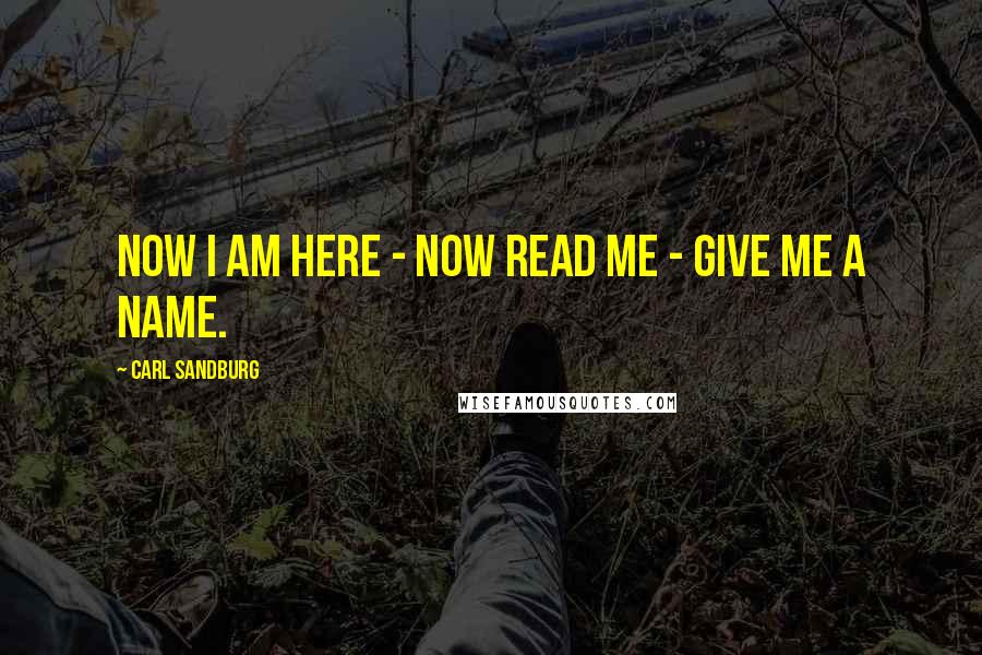 Carl Sandburg Quotes: Now I am here - now read me - give me a name.