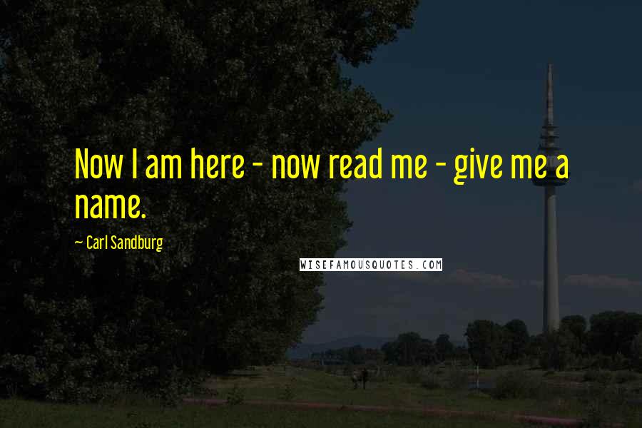 Carl Sandburg Quotes: Now I am here - now read me - give me a name.