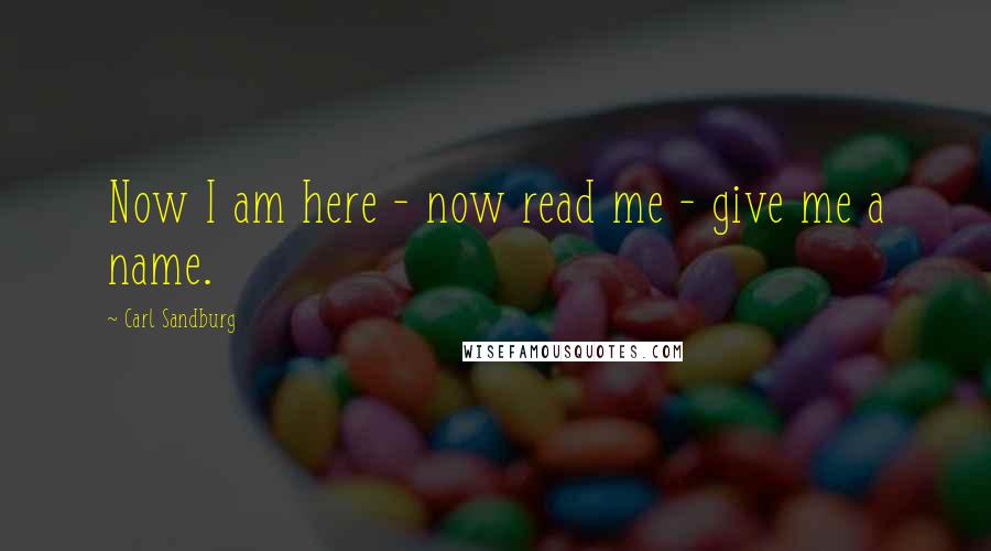 Carl Sandburg Quotes: Now I am here - now read me - give me a name.