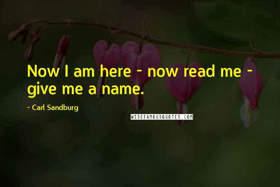 Carl Sandburg Quotes: Now I am here - now read me - give me a name.