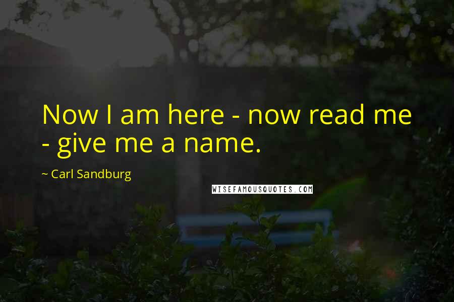 Carl Sandburg Quotes: Now I am here - now read me - give me a name.