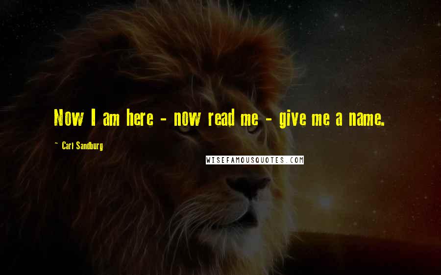 Carl Sandburg Quotes: Now I am here - now read me - give me a name.