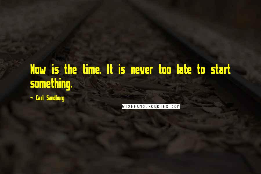 Carl Sandburg Quotes: Now is the time. It is never too late to start something.