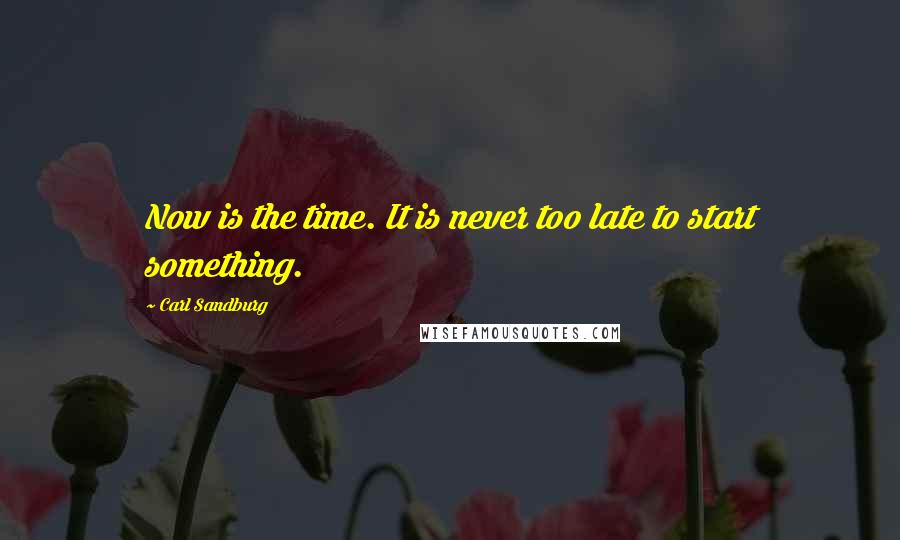 Carl Sandburg Quotes: Now is the time. It is never too late to start something.