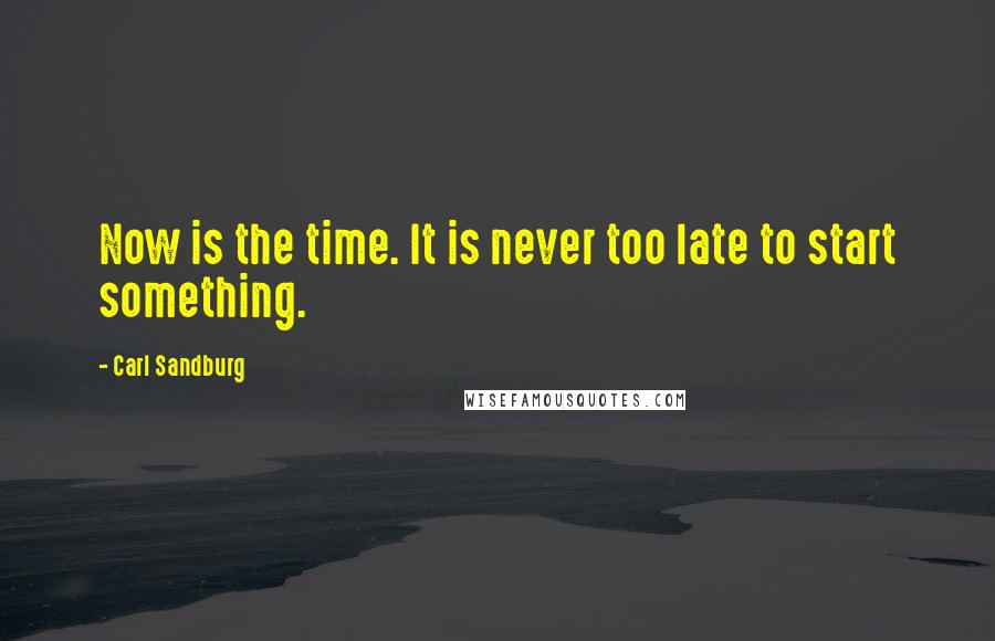 Carl Sandburg Quotes: Now is the time. It is never too late to start something.