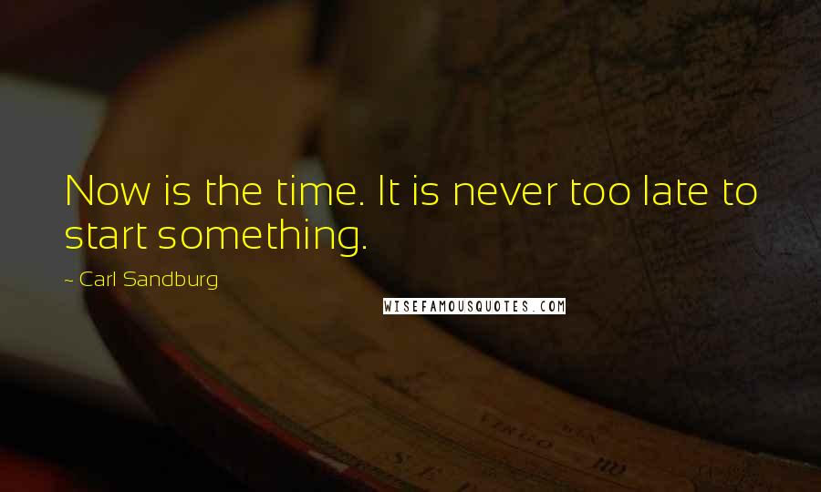 Carl Sandburg Quotes: Now is the time. It is never too late to start something.