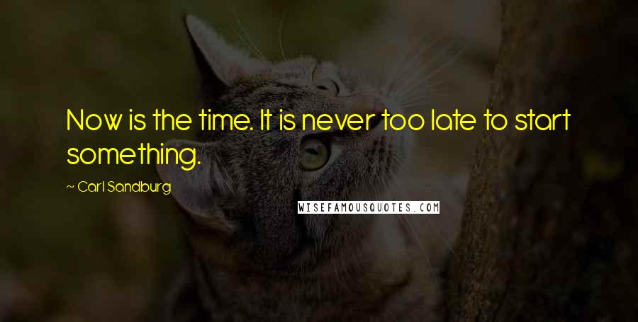 Carl Sandburg Quotes: Now is the time. It is never too late to start something.