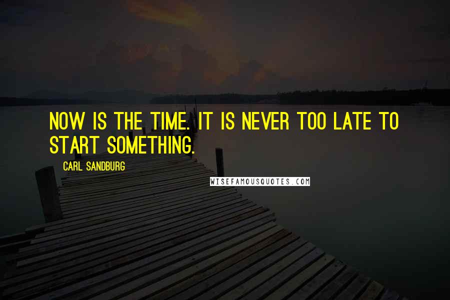 Carl Sandburg Quotes: Now is the time. It is never too late to start something.