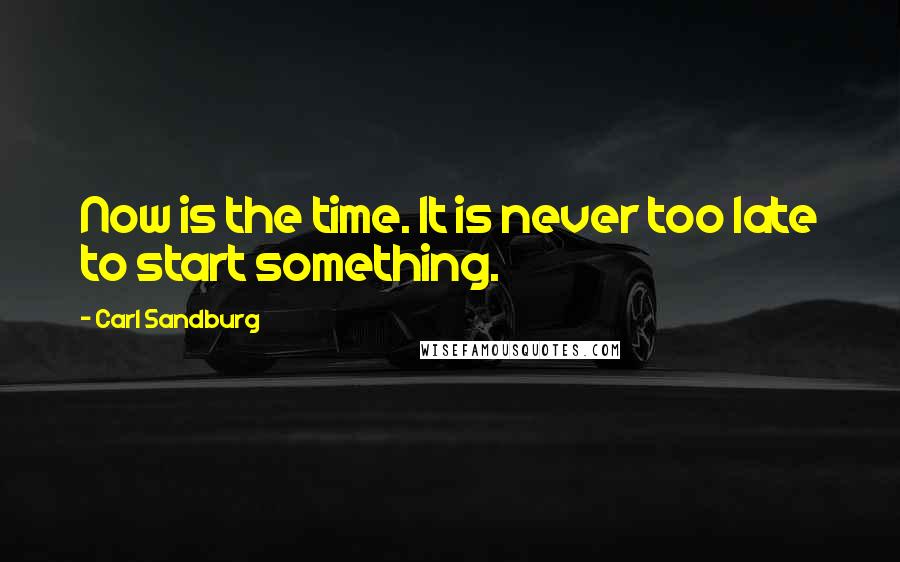 Carl Sandburg Quotes: Now is the time. It is never too late to start something.