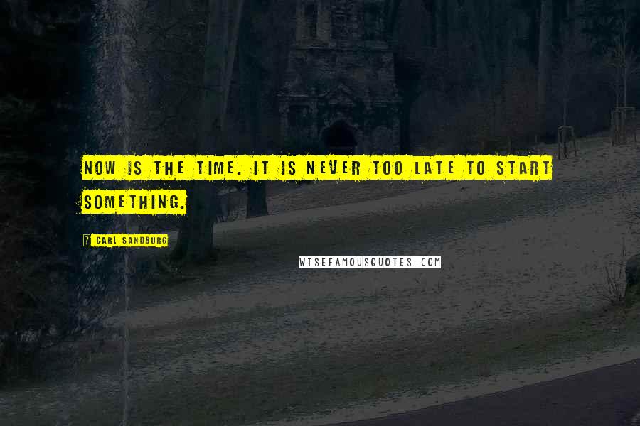 Carl Sandburg Quotes: Now is the time. It is never too late to start something.