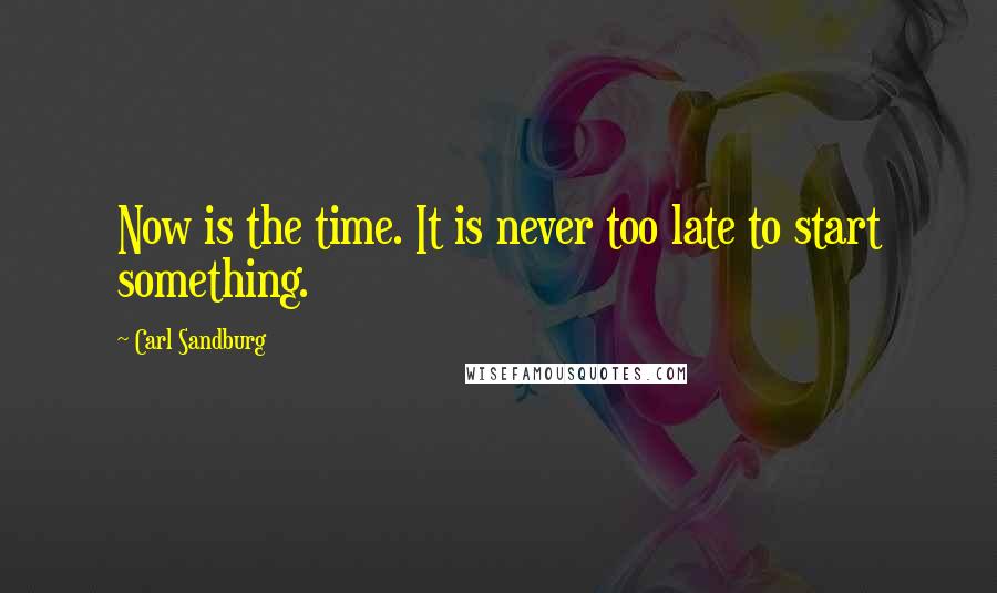 Carl Sandburg Quotes: Now is the time. It is never too late to start something.