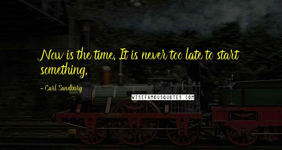 Carl Sandburg Quotes: Now is the time. It is never too late to start something.