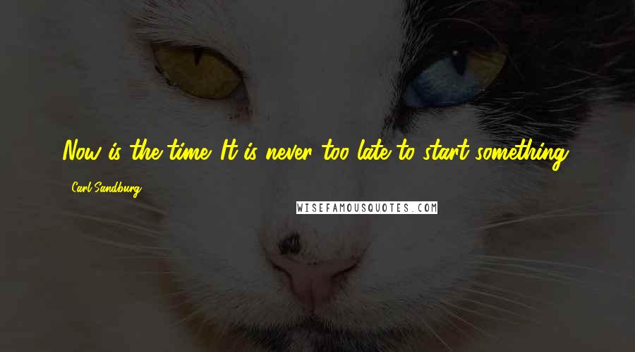 Carl Sandburg Quotes: Now is the time. It is never too late to start something.