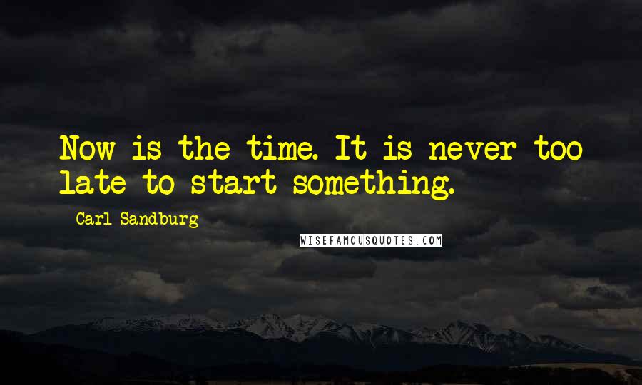 Carl Sandburg Quotes: Now is the time. It is never too late to start something.