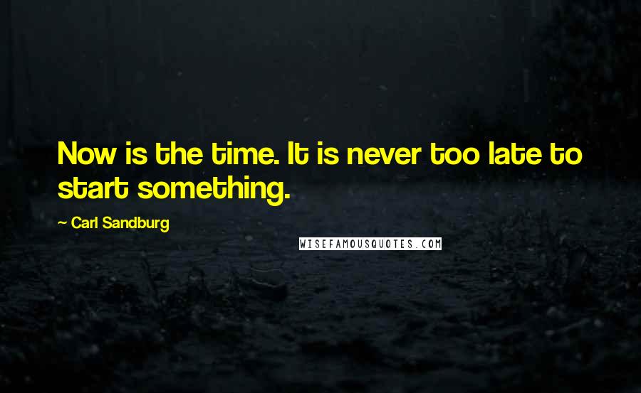 Carl Sandburg Quotes: Now is the time. It is never too late to start something.