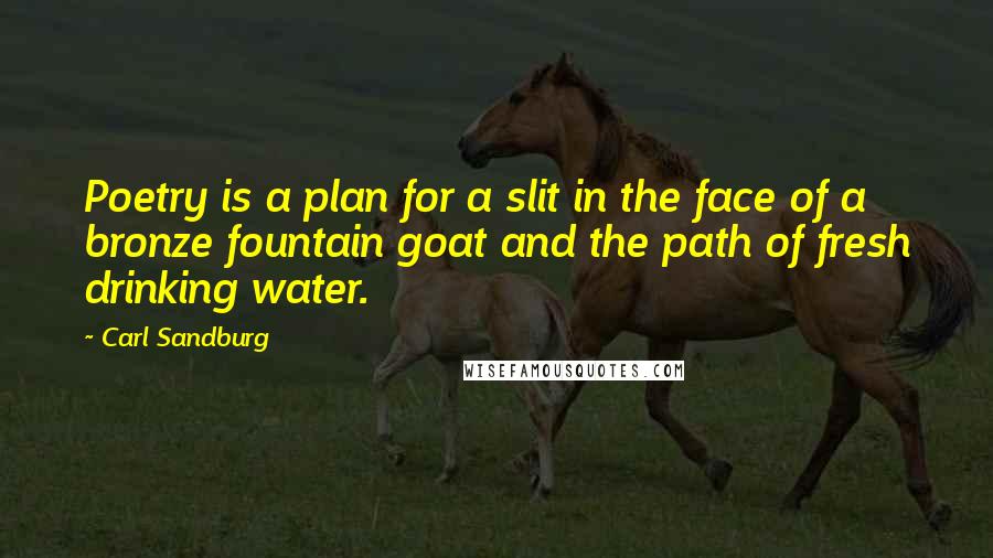 Carl Sandburg Quotes: Poetry is a plan for a slit in the face of a bronze fountain goat and the path of fresh drinking water.